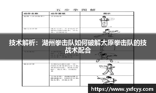 技术解析：湖州拳击队如何破解太原拳击队的技战术配合