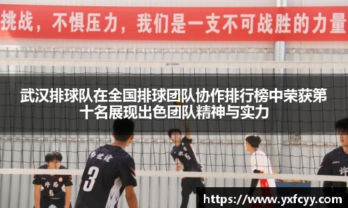 星空·综合体育官方网站